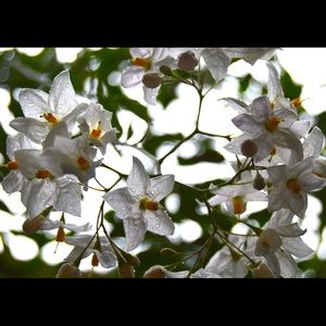 Meet your Posher, Barnaby